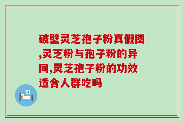 菌灵芝孢子粉胶囊(灵芝胶囊：提高免疫力，改善睡眠和压力)