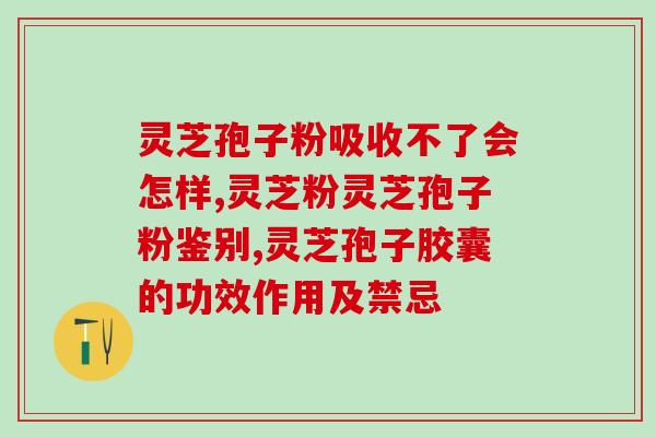 食品新原料灵芝孢子粉的应用与研究分析