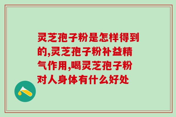 风湿可以吃灵芝孢子粉吗(风湿患者可食用灵芝孢子粉吗？)