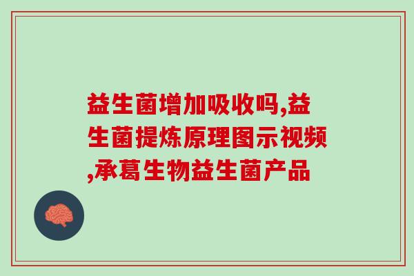 博美用吃益生菌吗怎么喂(博美狗能否喂食益生菌？正确喂养方法与注意事项！)