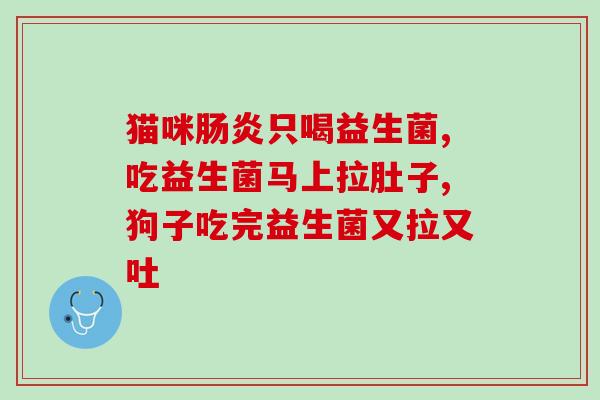 利洁时da益生菌怎么样(利洁时da益生菌使用效果评价)