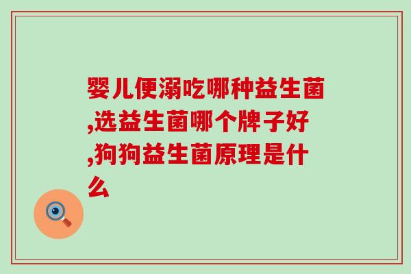 便秘专用益生菌小蓝(小蓝益生菌：缓解便秘利器)
