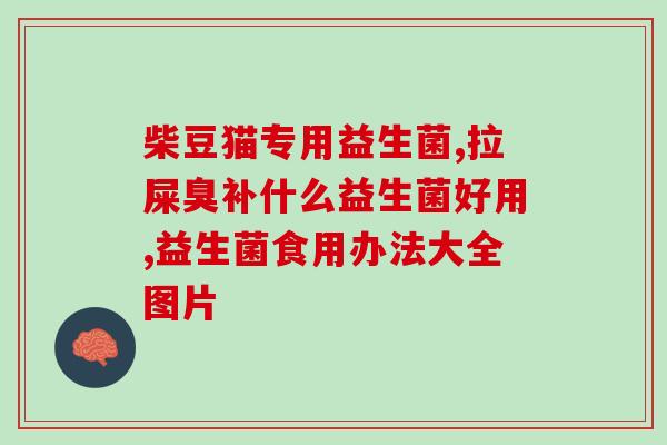 吃什么东西有益生菌呢(有哪些食物富含益生菌？)