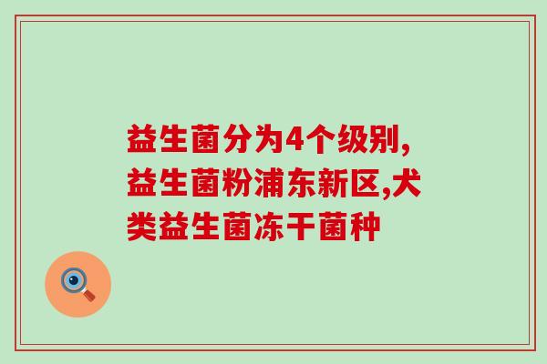 吃什么能含有益生菌的成分(含有益生菌成分的食物推荐)