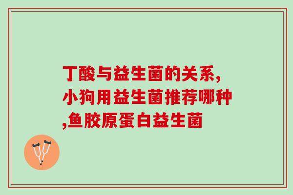 什么牛奶有益生菌作用(有哪些牛奶含有益生菌？)