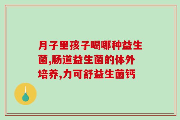 南非如何购买益生菌呢(南非益生菌购买指南)