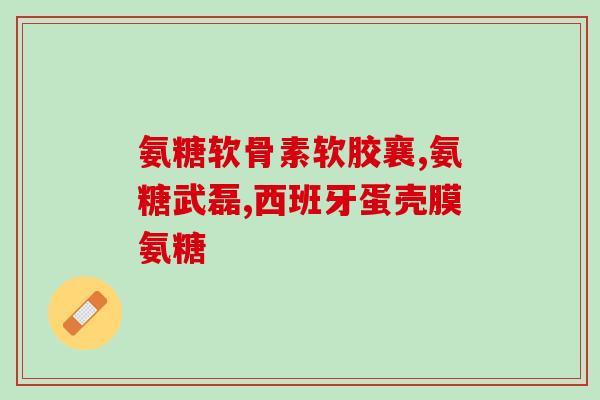 氨糖美辛肠溶片厂家(氨糖美辛肠溶片的制造商是哪家？)