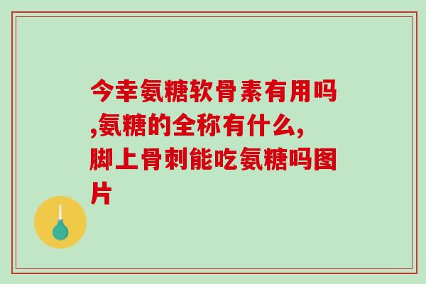 氨糖软术的钙片(氨糖软术的钙片：缓解关节疼痛的选择)