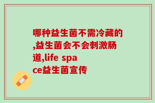 喂流浪猫益生菌怎么喂(为流浪猫提供益生菌的方法)