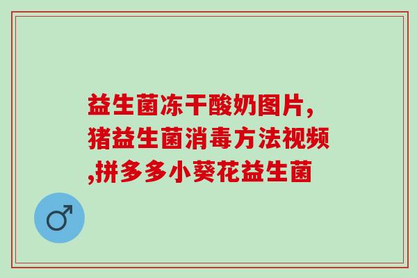 喂柯基什么益生菌好呢(喂养可爱的柯基，哪些益生菌更适合呢？)