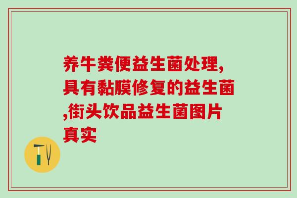 喂狗狗益生菌怎么喂(让你的狗狗更健康——正确喂养益生菌)
