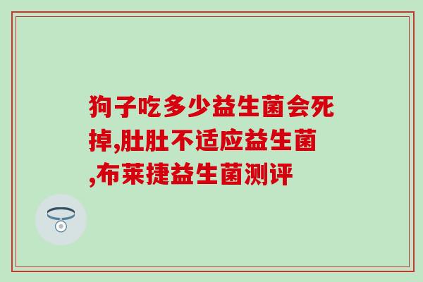 吃益生菌和什么可以养胃(养护胃部：吃益生菌并搭配这些食物)