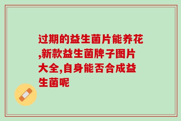 喂鹦鹉雏鸟什么益生菌(提高鹦鹉雏鸟消化吸收能力的益生菌喂养方法)