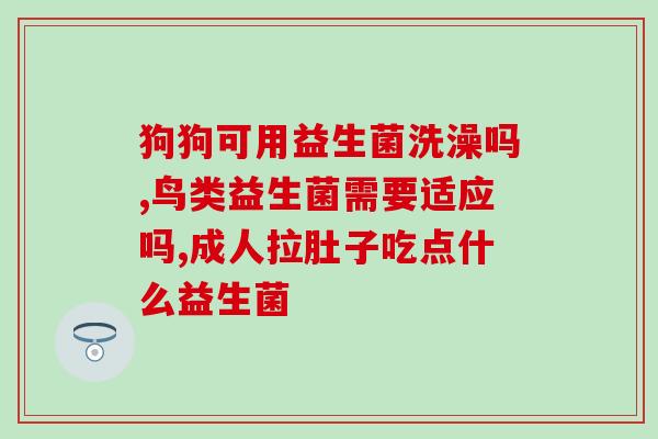 北美益生菌口嚼片怎么吃(北美益生菌口嚼片使用方法简介)