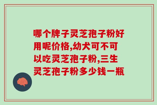 灵芝包子粉破壁机？灵芝孢子粉不经破壁就不能被人体吸收吗