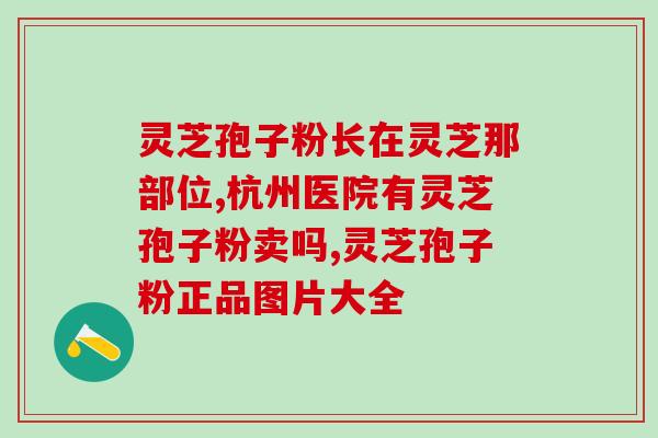 破壁灵芝孢子粉没病能吃吗？尚绿破壁灵芝孢子粉好不好