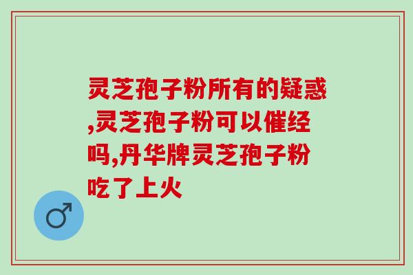 西洋参粉和灵芝孢子粉一起？双倍功效的养生秘方？