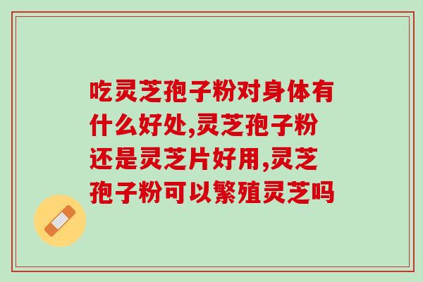灵芝多糖在食品中的应用？什么食物含芝胺多糖