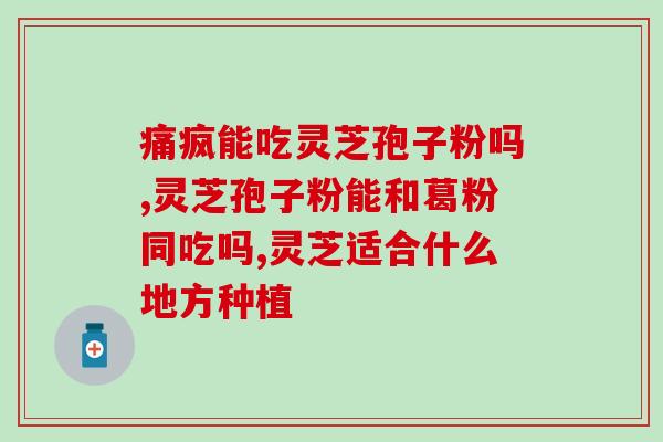 灵芝孢子粉肚子咕噜咕噜？解决肠胃不适的灵芝孢子粉？