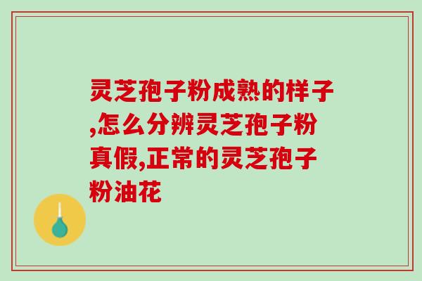 灵芝孢子粉含嘌呤含量分析及食用建议