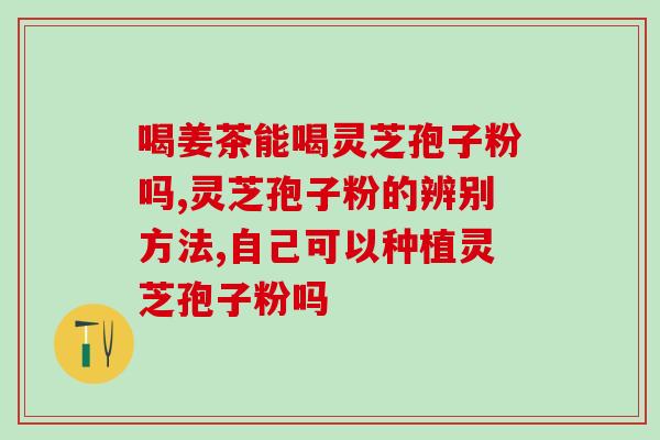 灵芝破壁   药监局？哪里可以买到正宗的灵芝破壁孢子粉
