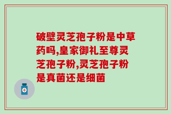 铁皮枫斗破壁灵芝粉？灵芝孢子粉可以和石斛一起吃吗