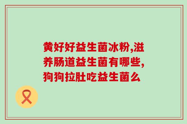 如何要猫咪吃益生菌呢图片(让猫咪更健康：为宠物添加益生菌)