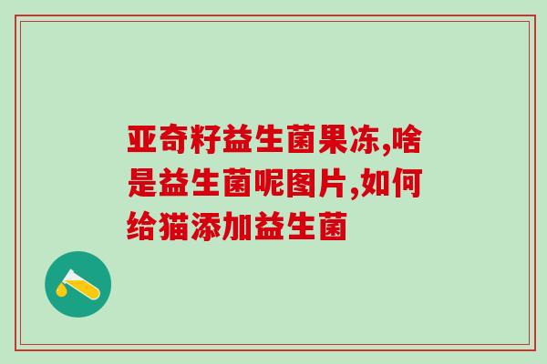 天津宠物益生菌oem(天津宠物益生菌代加工，助力宠物健康)