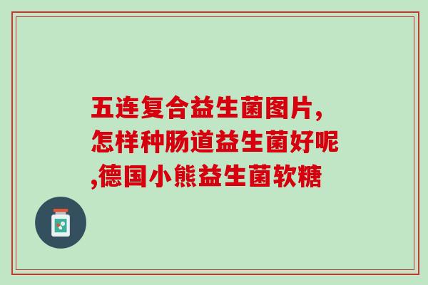 威廉斯益生菌(威廉姆斯益生菌 提高免疫力、缓解过敏新选择)