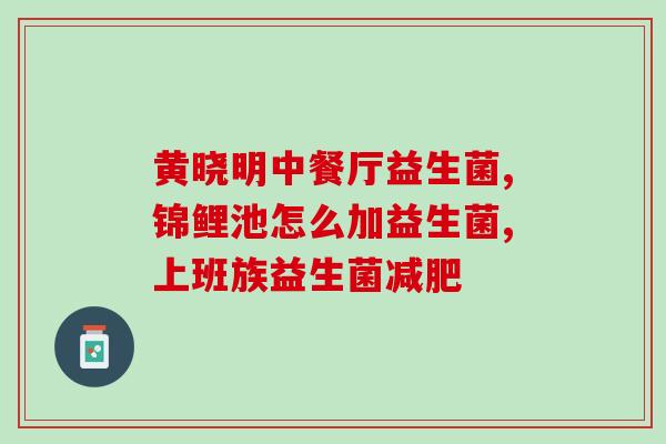 奇亚籽加益生菌粉(奇亚籽搭益生菌，双重助消化)