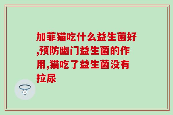 大龄猫咪益生菌怎么喂养(大龄猫咪如何喂养益生菌？