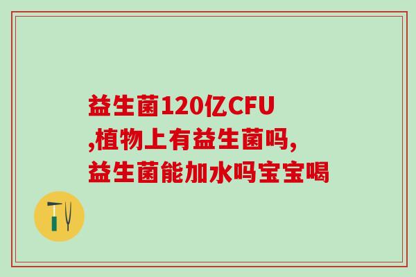 宝宝益生菌怎么选配料表(宝宝益生菌配料表解读，选择更加科学！)