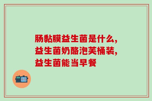 宠物猫益生菌什么牌子好(推荐几款优质的猫用益生菌品牌)