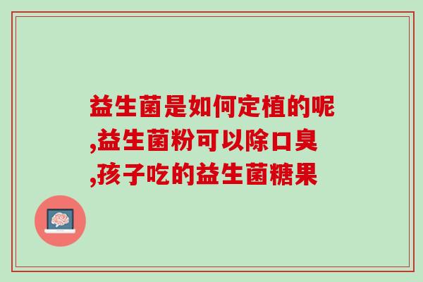 小狗止泻益生菌怎么吃(小狗如何正确服用止泻益生菌)