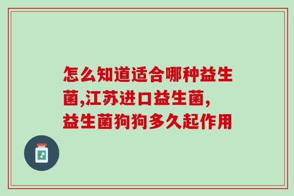 小泰迪益生菌可以空腹吃吗(小型犬使用益生菌应该如何正确操作？)