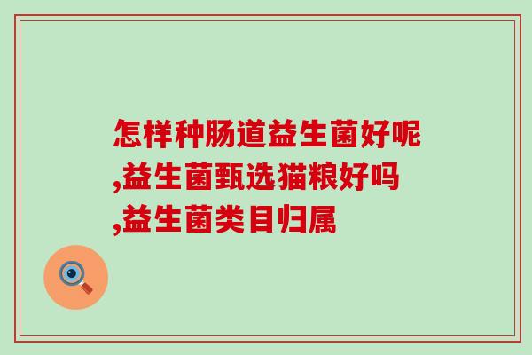 山姆益生菌怎么吃好(山姆益生菌正确食用方式分享)