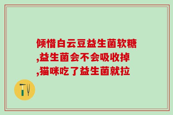 小猫咪怎么用益生菌驱虫(用益生菌驱虫，让小猫咪不再困扰！)