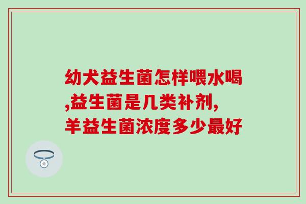 小马琪琪益生菌批发(小马琪琪益生菌大量采购专享优惠)