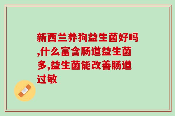 小猫拉稀便秘用什么益生菌(益生菌缓解小猫肠胃不适，有效治疗拉稀便秘)