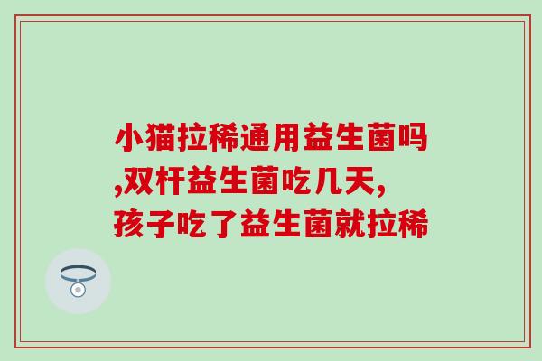 幼猫专吃益生菌吗怎么喂(幼猫是否适合喂食益生菌？正确喂养方法解析)