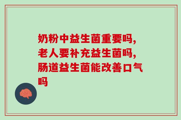 宵夜益生菌小熊(小熊宵夜增添健康微生物)