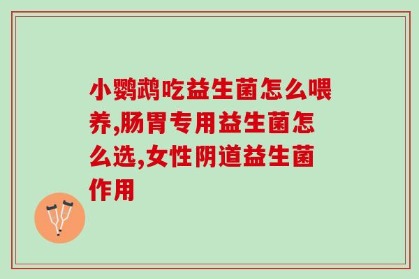 小猪喂什么益生菌(小猪吃啥益生菌最好？)