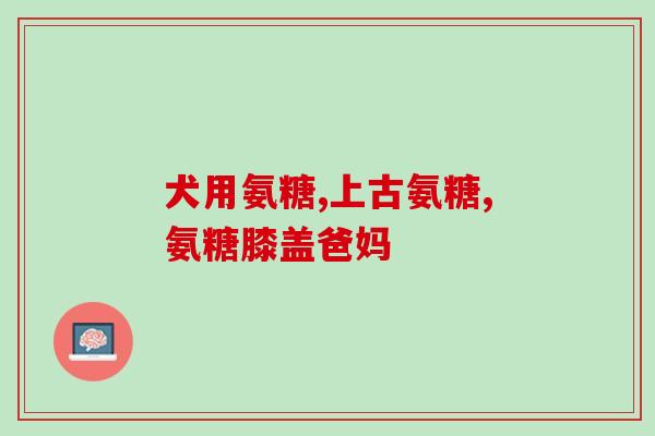 益结氨糖软骨素(益结氨糖软骨素：维护关节健康的有效营养素)