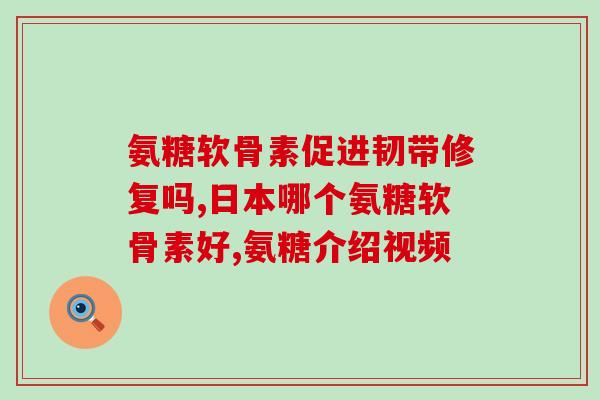 真善道硫酸氨基葡萄糖(真善道推出硫酸氨基葡萄糖保健品！)