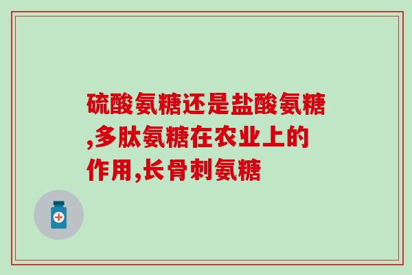狗狗氨糖几岁需要补充(狗狗多大需要补充氨糖？)