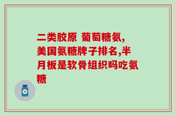 硫酸氨基葡萄糖片20片(硫酸氨基葡萄糖片20片：提高关节功能的辅助用品)
