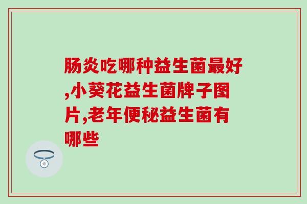 宠物益生菌文案怎么写(提升宠物健康，益生菌动力来袭！)