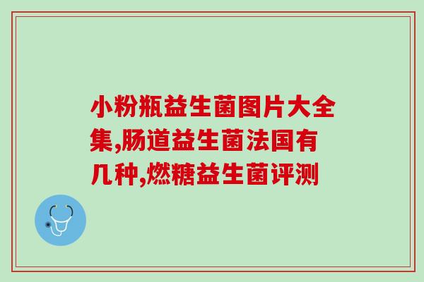 干狗粮怎么拌益生菌吃的(干狗粮添加益生菌的正确方法)