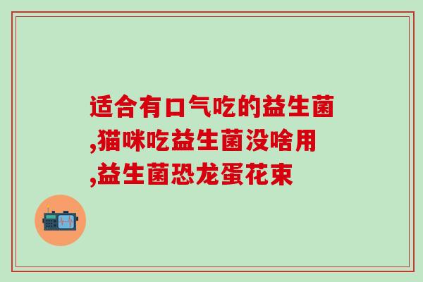 小份子肽益生菌怎么用(小份子肽益生菌使用方法详解)