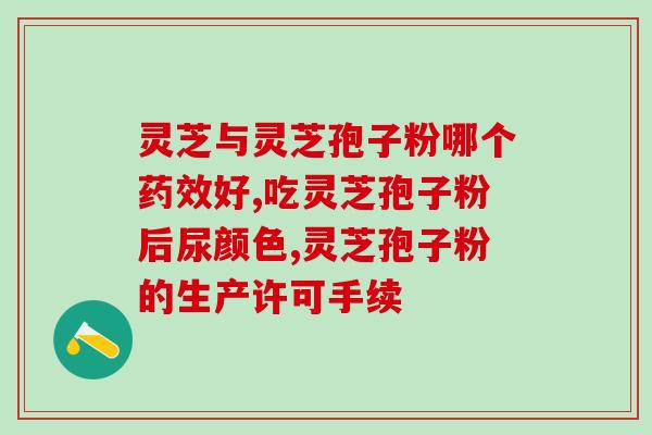 藕肉饼灵芝孢子粉？灵芝孢子粉面膜制作方法